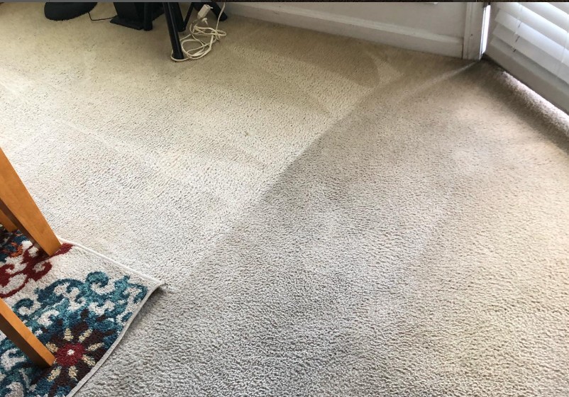 Before and after pet stain removal
