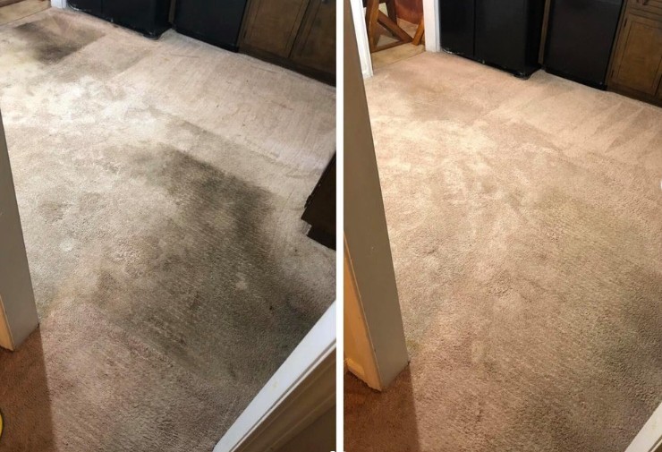 High traffic carpet care