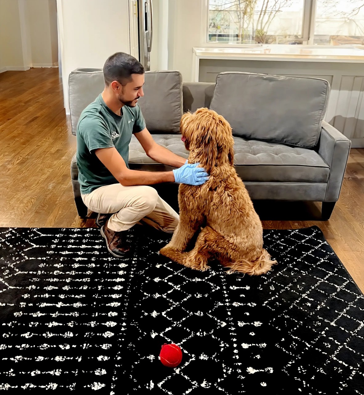 GO Carpet Cleaning Team